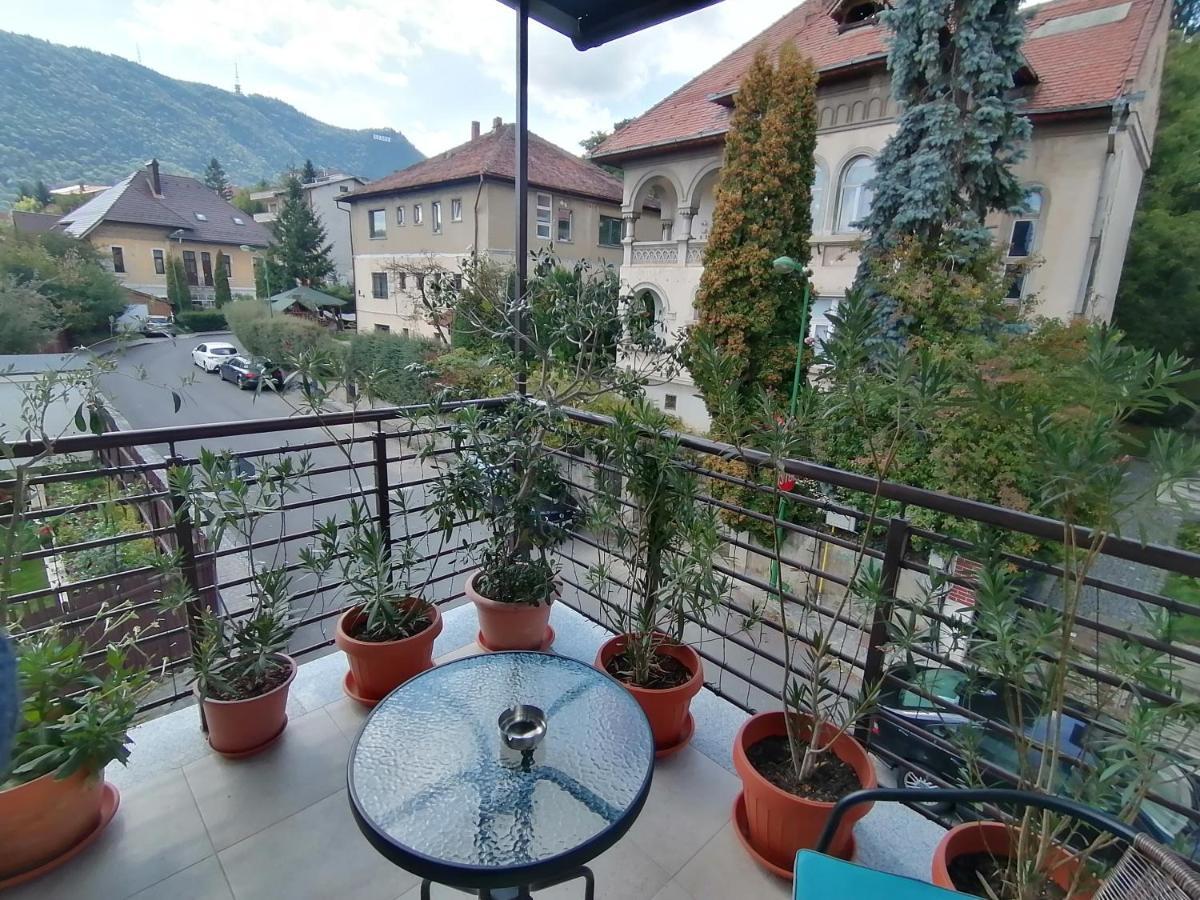 Апартаменти Casa Bologna Брашов Екстер'єр фото
